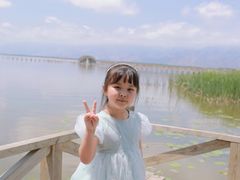 -哈素海
