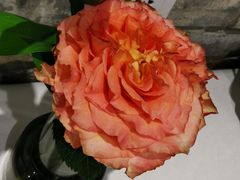 -新加坡海鲜(国贸商城店)