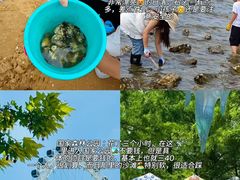 -巧克力渔家.小船海鲜胶东菜(万平口店)