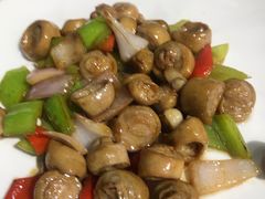-小莆天(元帅路店)
