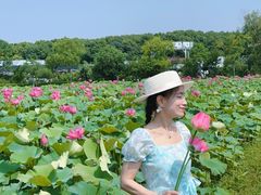 -嘉北郊野公园