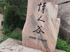 -芦芽山旅游度假区