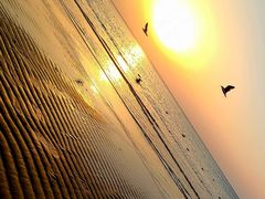 -威海国际海水浴场旅游区