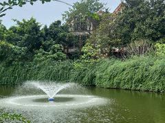 -成都南湖公园