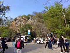 -紫金山山顶公园