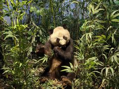 -陕西自然博物馆