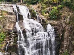 -海南热带雨林国家公园吊罗山景区