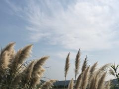-江阴敔山湖公园