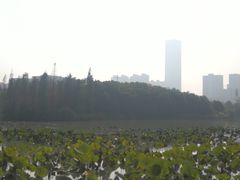 -艾溪湖湿地公园