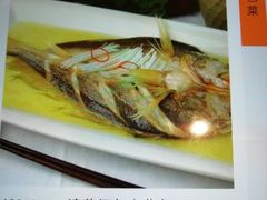 黄鱼-颂福楼·南京菜(定淮门店)