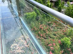 -玫瑰庄园·自助烧烤·烤全羊·团建拓展(龙泉山店)