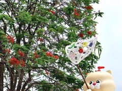 -民盈·国贸城