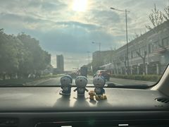 -江滩湿地公园