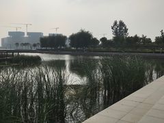 -郑东新区龙湖公共艺术中心