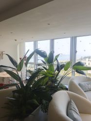-台湾台婴美月子中心(长沙保利店)