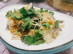 凉拌鱼皮-轩记海鲜餐厅·四十五年老字号·经典粤菜(西区彩虹店)