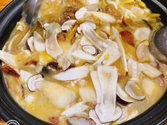 -菌之家·专业纯野生菌火锅·特色炒菌