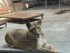 -鄂尔多斯野生动物园