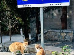 -四门塔风景区