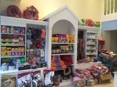 -爱贝特动物医院·猫口炎专科