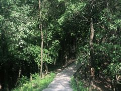 -火炉山森林公园