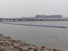 -吴淞炮台湾湿地森林公园烧烤区