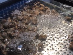 蒸汽海鲜-圣罗巴海鲜自助(黑金店)