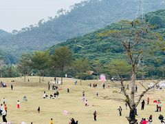 -风云岭森林公园