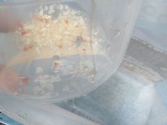 -抱德·潮汕味(琶洲店原惠城鱼仔)