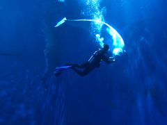 -多彩贵州城极地海洋世界