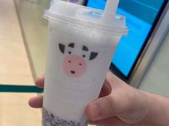 -一只酸奶牛(八一路店)