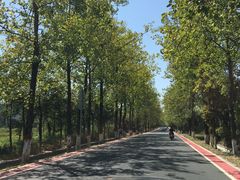 -明月山天沐温泉度假村