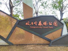 -风云岭森林公园