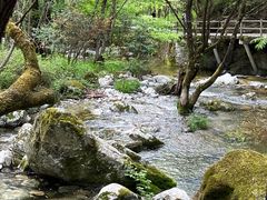 -牛背梁国家森林公园