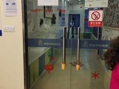 -贝乐少儿英语·全外教(滨江中心)