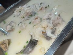 -洞庭家宴·头牌甲鱼(广渠门店)