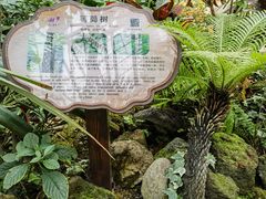 -南山植物园