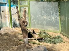 -栾川竹海野生动物园