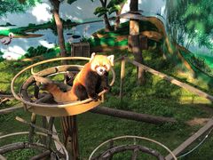 -西霞口神雕山野生动物世界