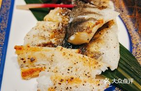 Iron Plate Arctic Ice Fish