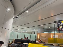 -麦当劳(北京大兴机场二层国内到达(安检外)店)