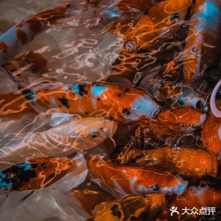 可以说是天津最大的室内动物园了