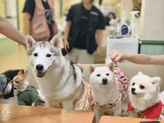 -观音桥步行街