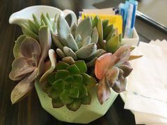 -舟山希尔顿酒店