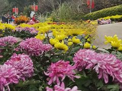 -南山植物园