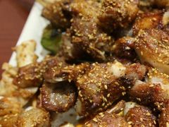 -金刚山烧烤(红旗大街店)