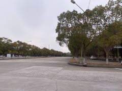 -安飞驰驾校·学车连锁(金高店)