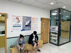 -中农大我爱我爱动物医院·核磁CT·猫病·24小时夜诊中心(石佛营店)