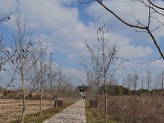 -广富林郊野公园