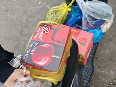 -上海龙吴水胜海发市场